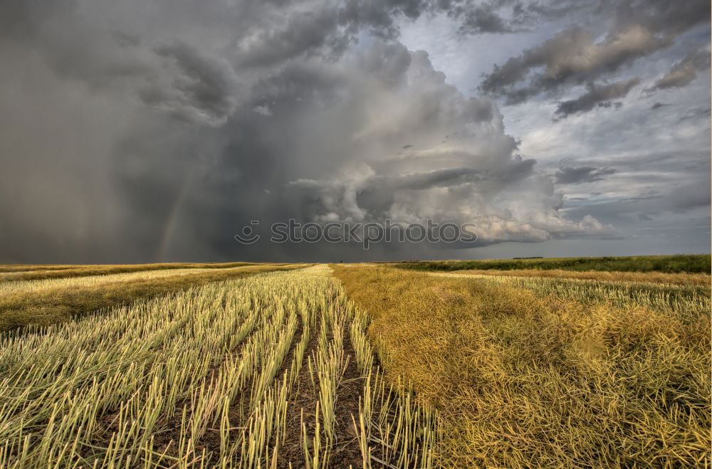 Similar – love the country Clouds