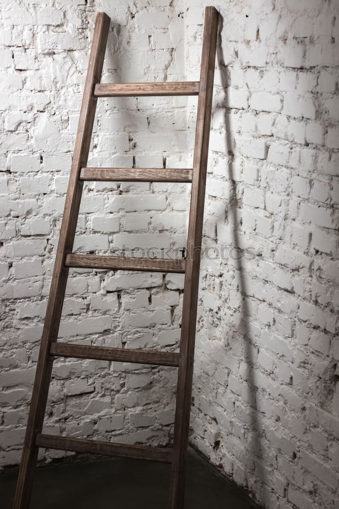 Similar – Image, Stock Photo renovation Lifestyle