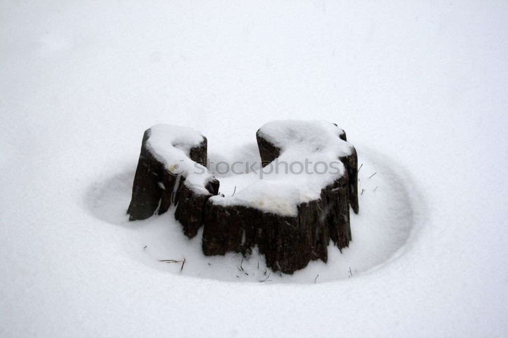 Image, Stock Photo é France Institut Français