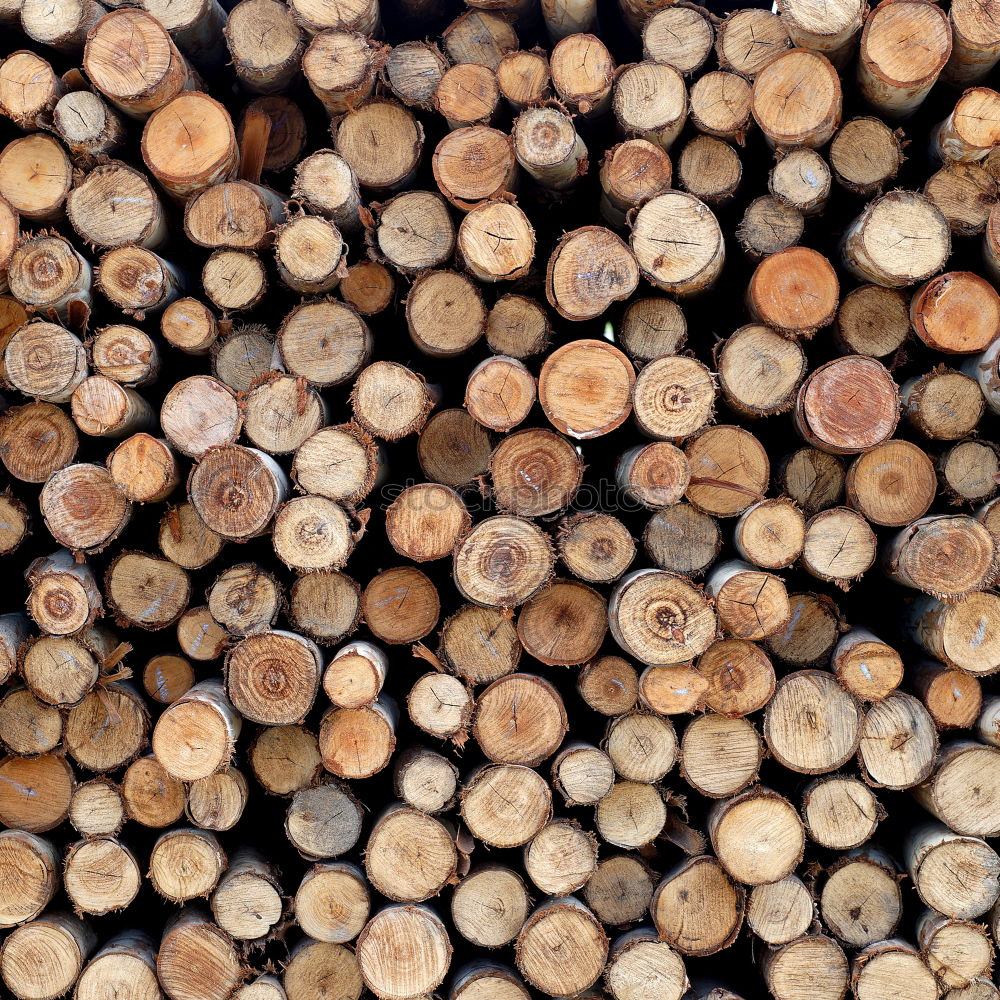 Similar – Image, Stock Photo Raw wood with different resistance