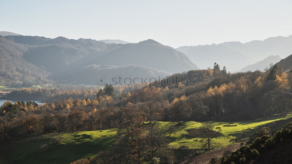 Similar – Image, Stock Photo Vineyards in autumn