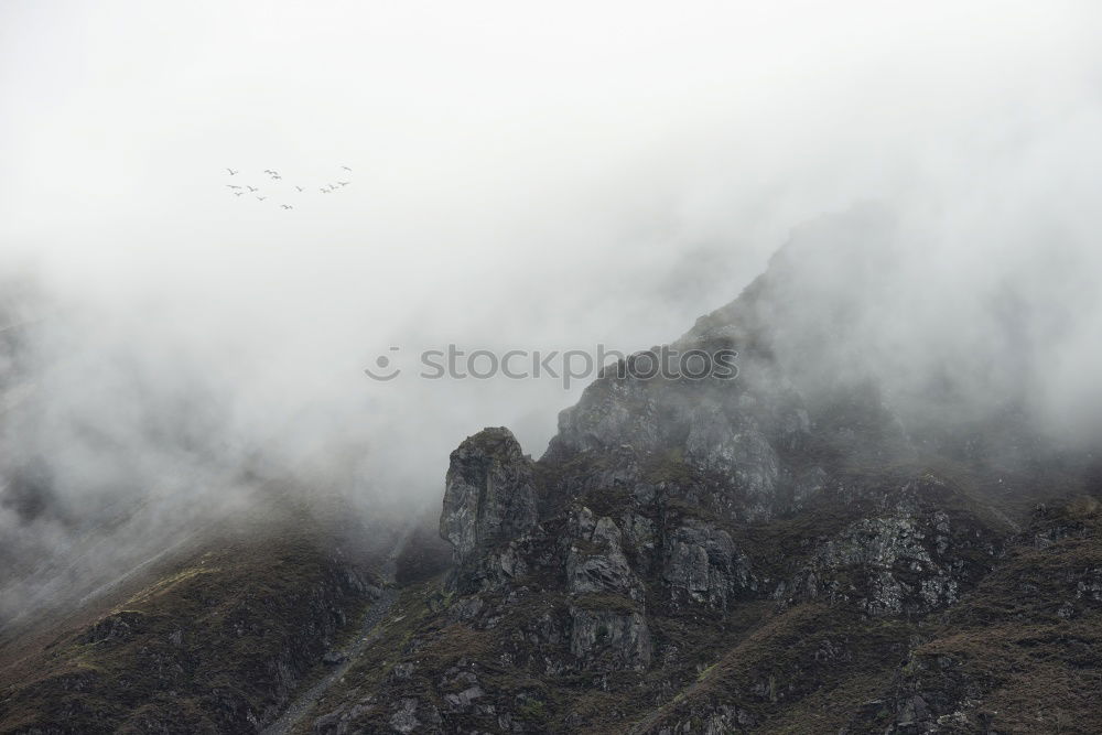 Similar – Image, Stock Photo Prags high alp Italy