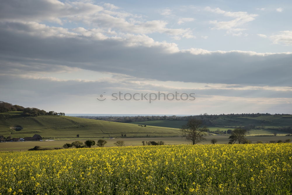 Similar – Image, Stock Photo CHAMANSÜLZ | arable land