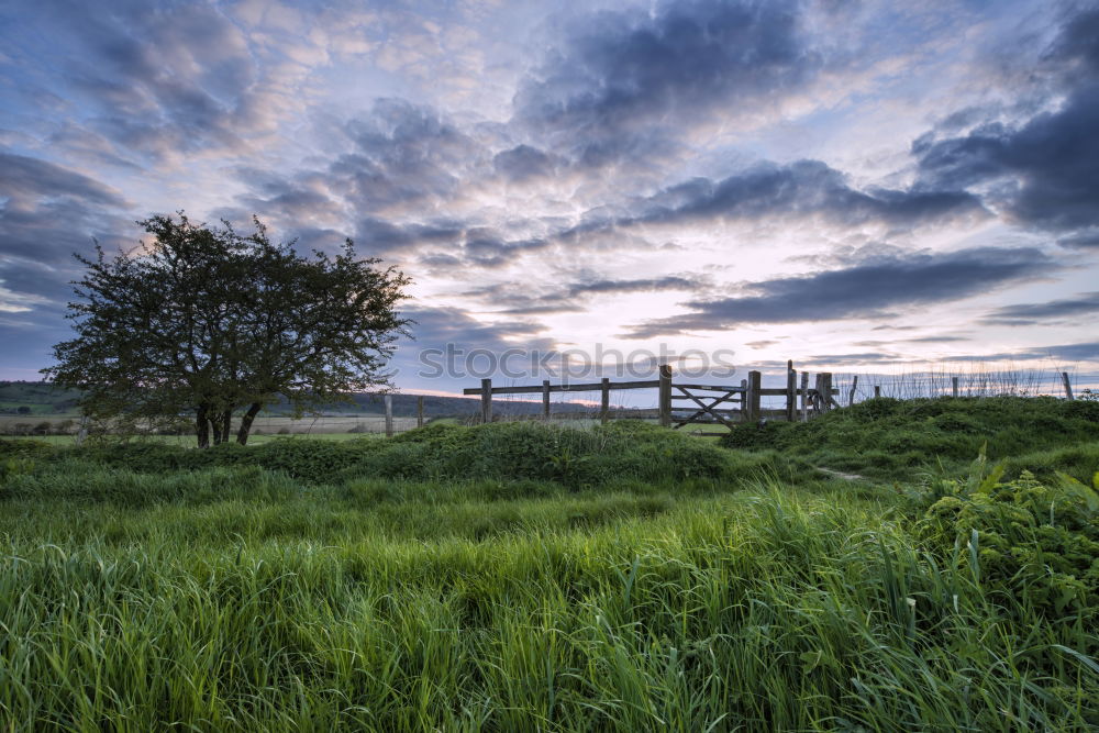 Similar – Image, Stock Photo old fence Horizon Shabby