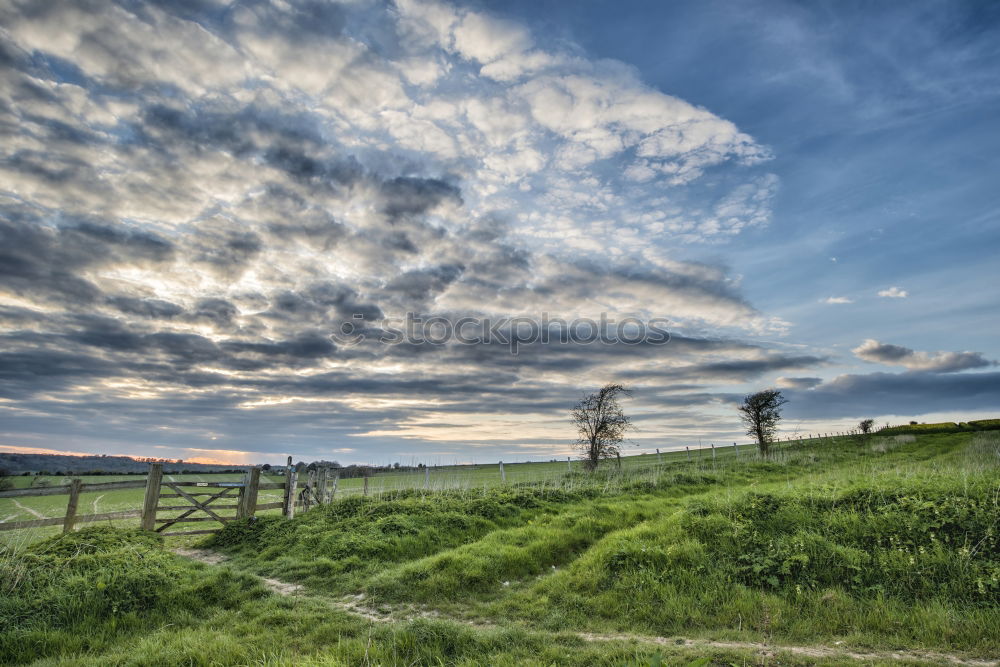 Similar – Image, Stock Photo late summer Environment