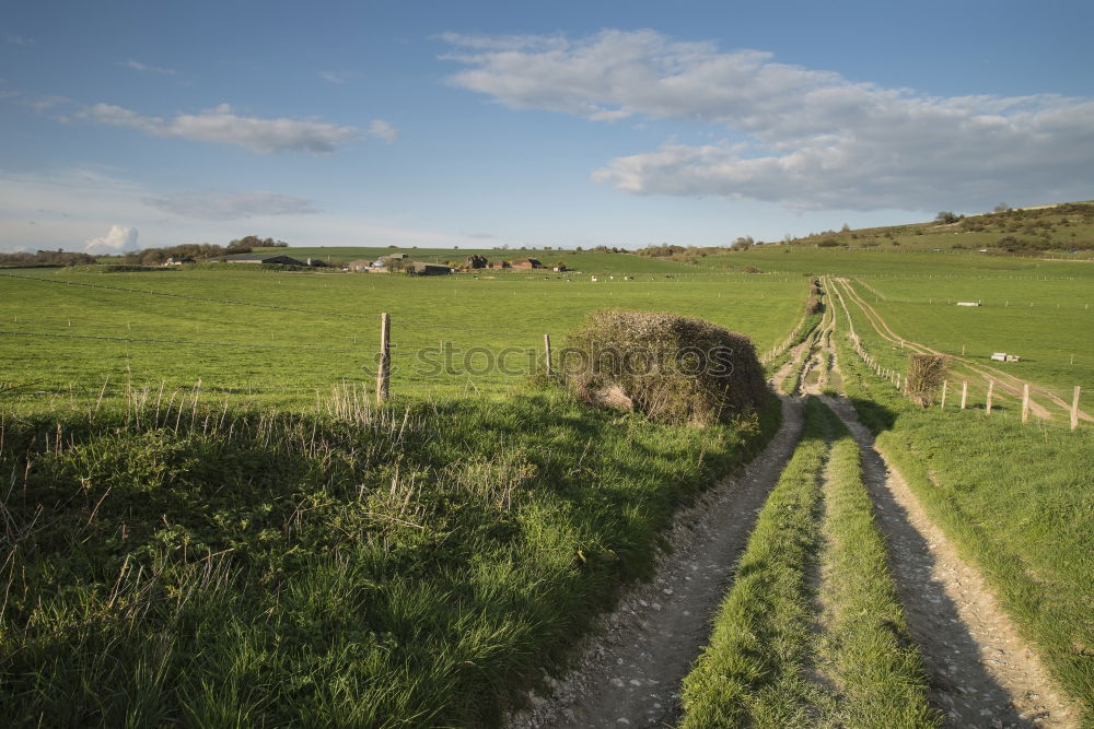 Similar – Image, Stock Photo late summer Environment