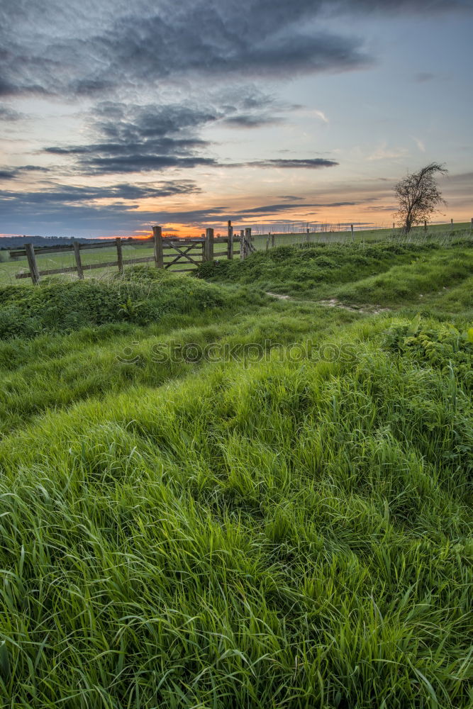 Similar – Image, Stock Photo Evening sun over Arö Denmark