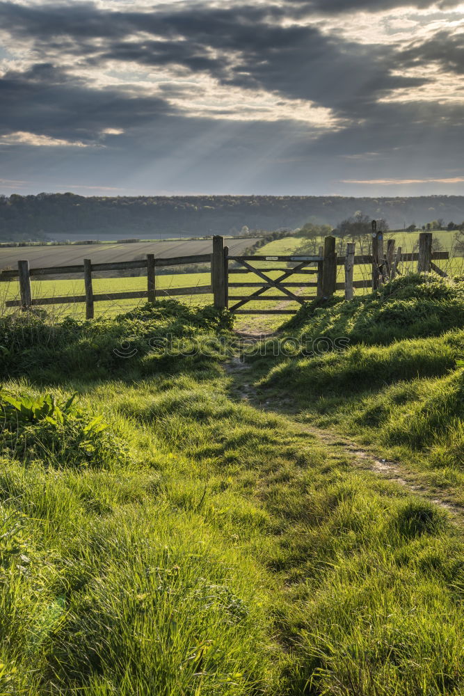 Similar – Strange field stones Hill