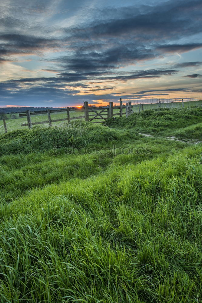 Similar – Image, Stock Photo Evening sun over Arö Denmark