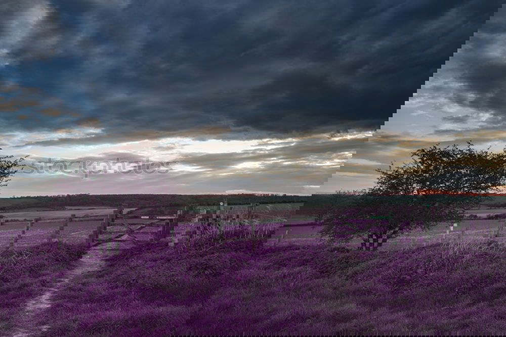Similar – Foto Bild maison de vacances