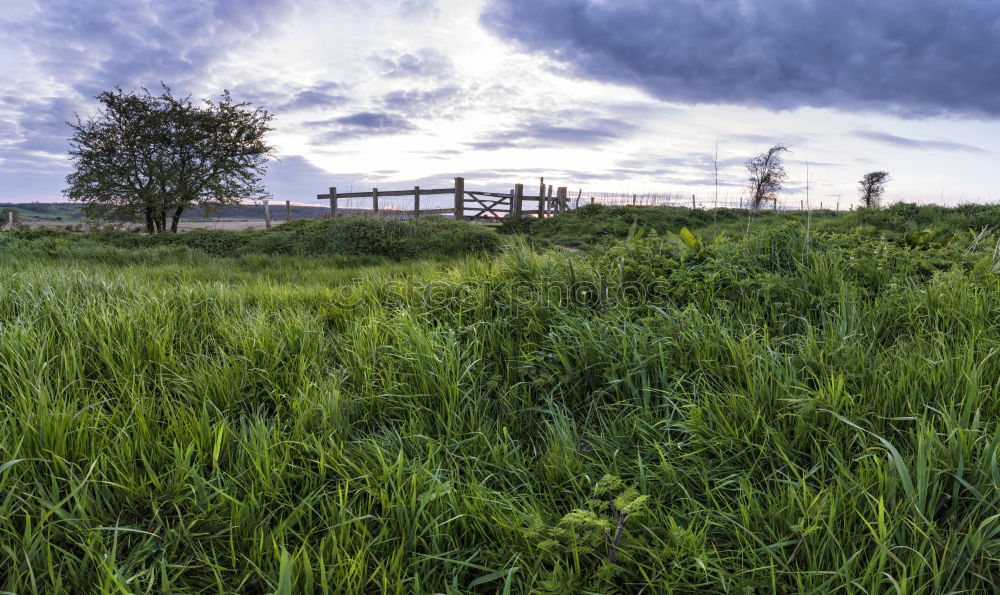 Similar – One shed 2 Barn Field