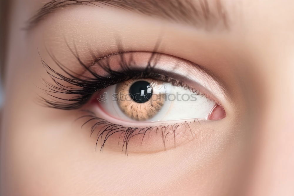 Similar – brown eye braun Wimpern