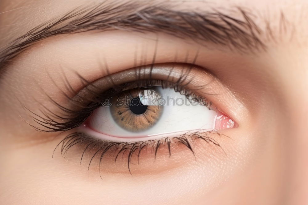 Similar – brown eye braun Wimpern