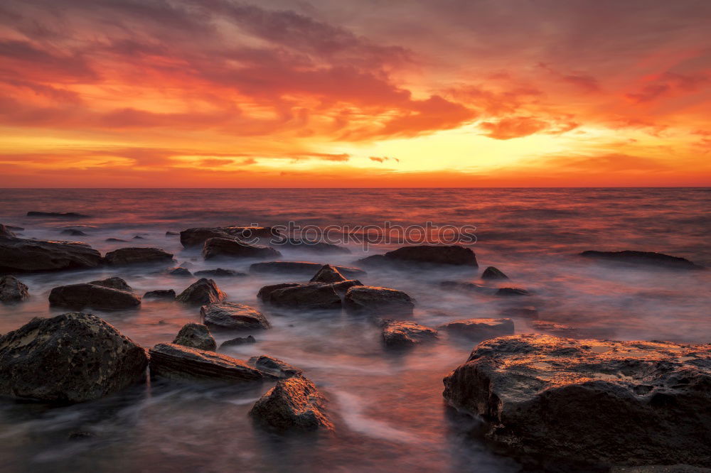 Similar – Image, Stock Photo Sunrise in Sydney