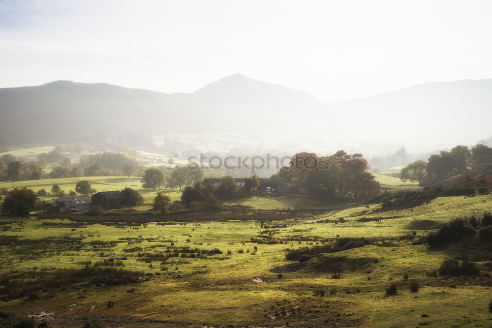 Sun Terraces Landscape