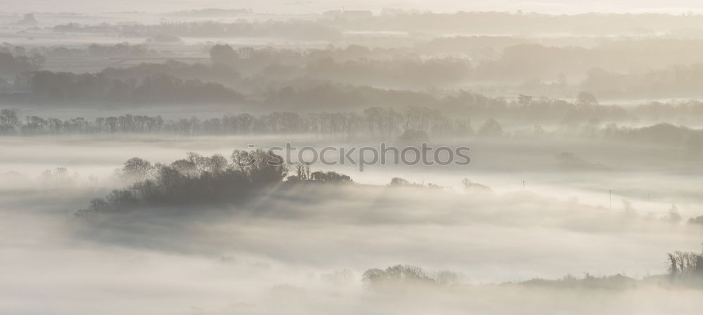 Similar – Image, Stock Photo Cold days Senses Calm