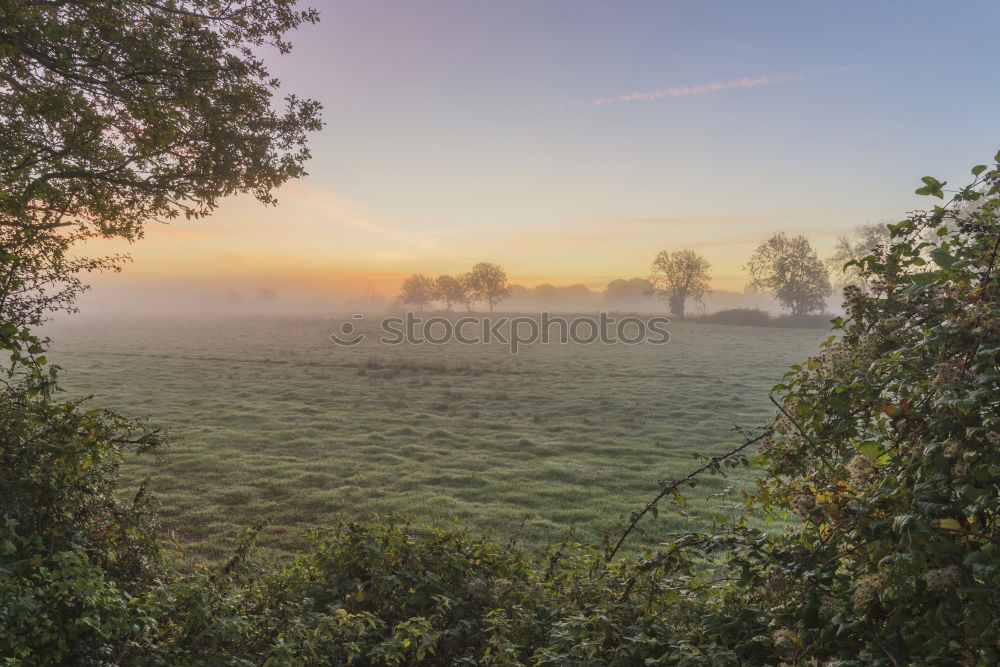 Similar – morning fog Fog Sunrise