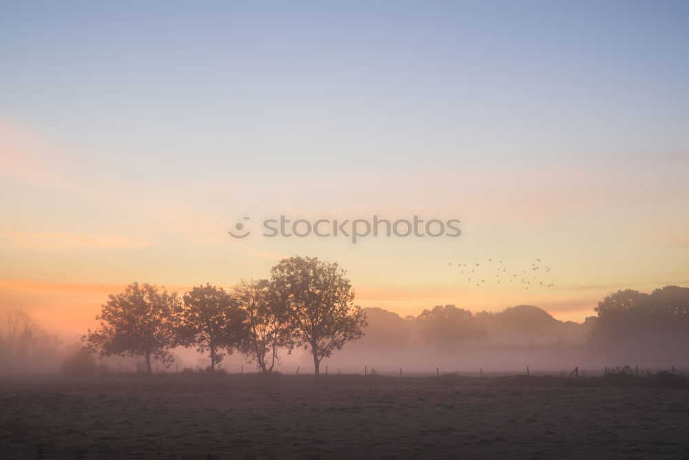 Similar – morning fog Environment