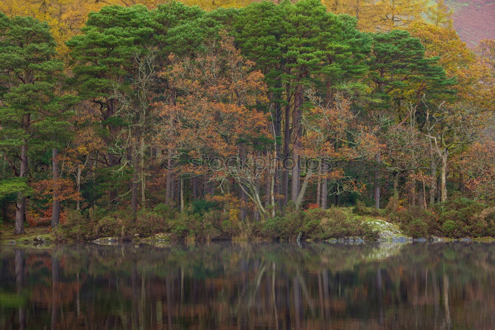 Similar – Big rock with moss growing