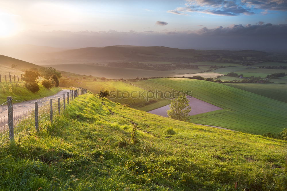 Similar – Image, Stock Photo Winding paths with cypress trees between the green fields.