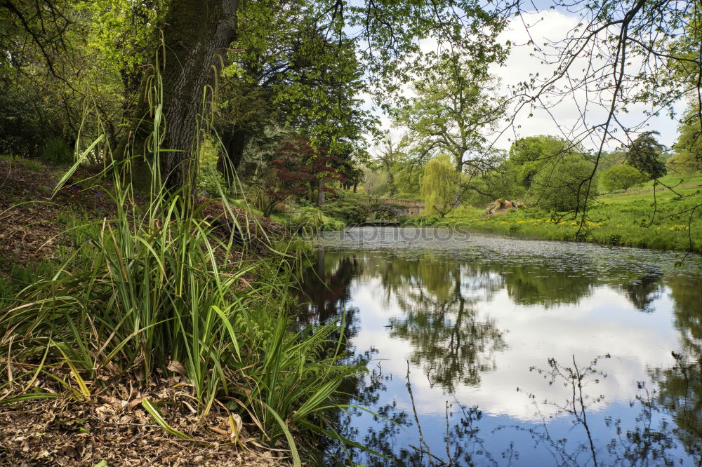 Similar – Footbridge at the lake #2