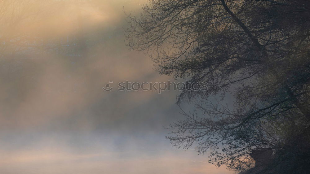 Similar – Image, Stock Photo leaf wall Nature Autumn