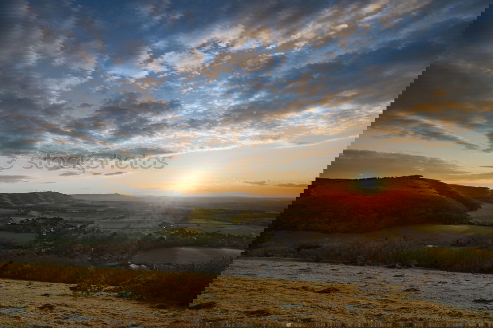 Similar – Image, Stock Photo Hills, sheep and a dream road