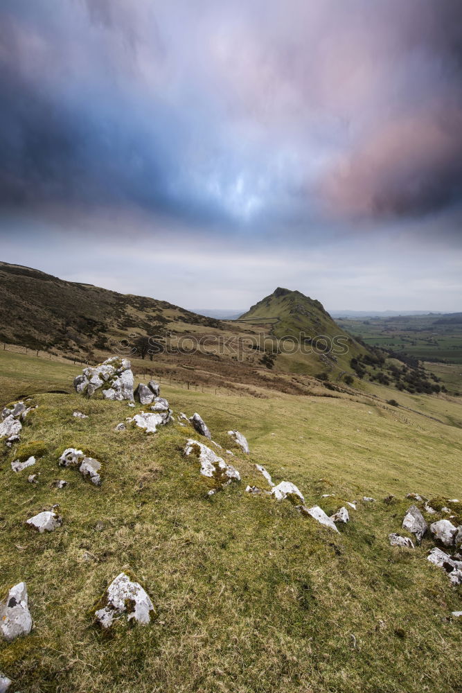 Similar – Image, Stock Photo In the evening on the hill