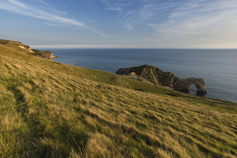 Similar – Image, Stock Photo Woman standing on the coast by the sea in England