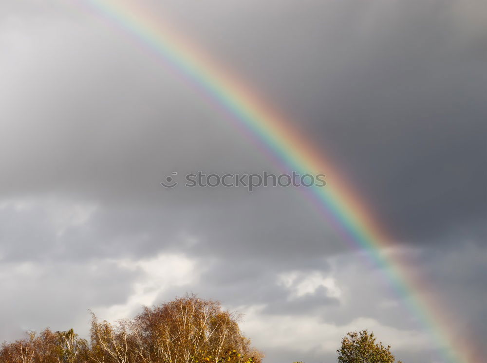 Similar – Image, Stock Photo Rainbow over Plano Piloto / Brasilia DF