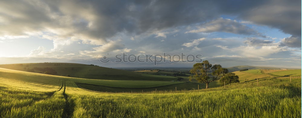 Similar – Image, Stock Photo on the Dörnberg in North Hesse 9