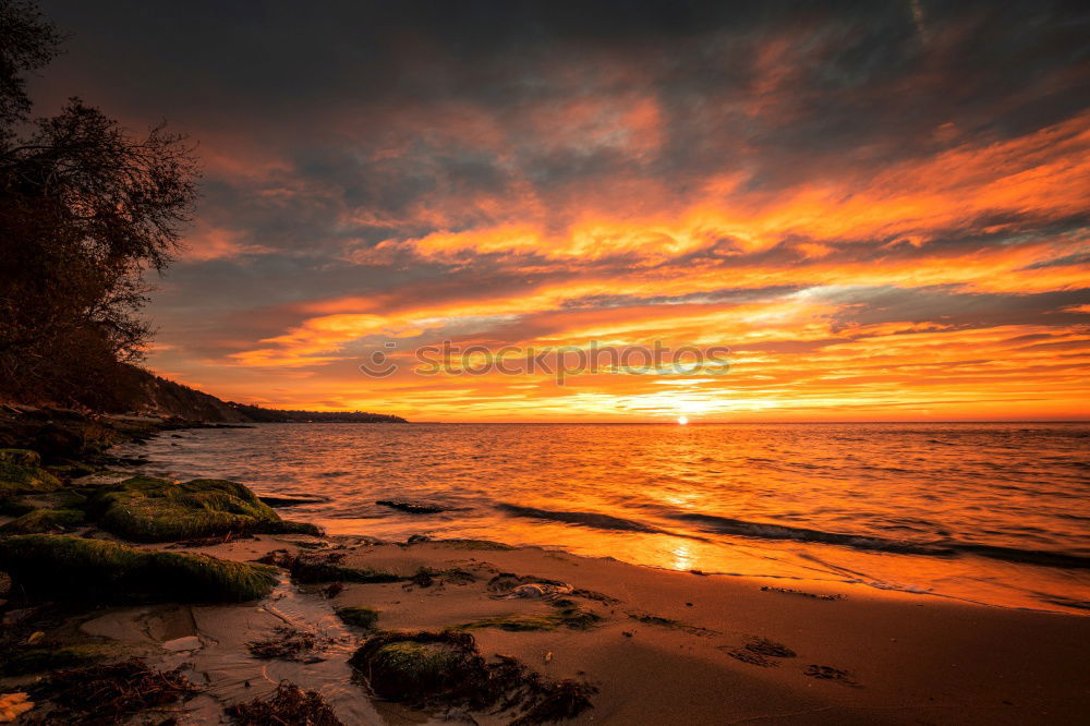 Similar – Image, Stock Photo Sunset in Nienhagen