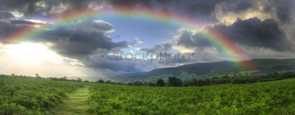 Similar – Rainbow with sheep on the Isle of Skye in Scotland