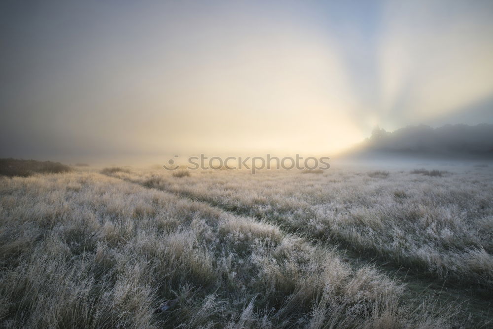 Image, Stock Photo übernBerg Meander Bicycle