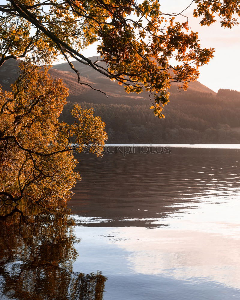 Similar – Image, Stock Photo House by the sea