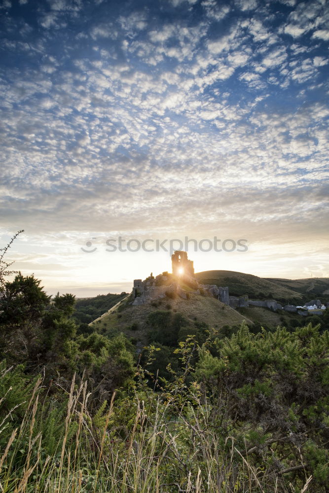 Similar – Image, Stock Photo Wanderers Destination