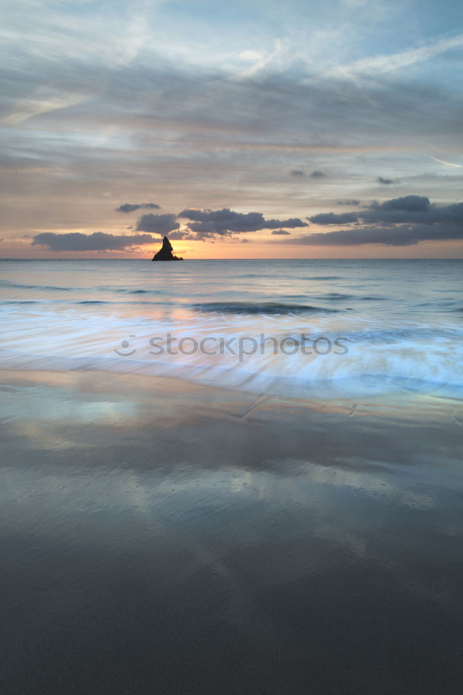 Similar – Foto Bild einsame Möwe Vogel Strand