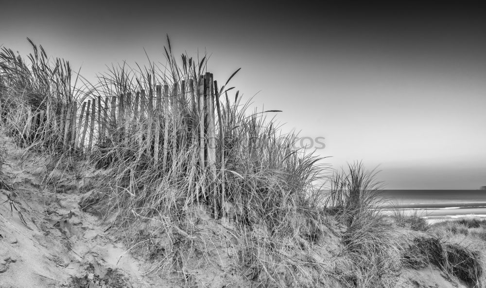 Similar – coastline Lake Cliff