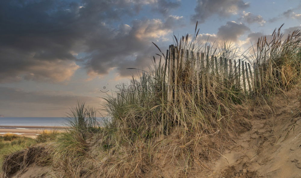 Similar – Image, Stock Photo The power of the present 1