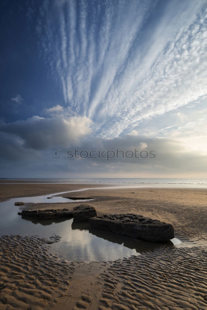 Similar – Winter walk in Westerhever