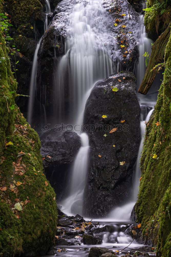 Similar – The Water Falling at the Yoro Waterfall in Gifu, Japan