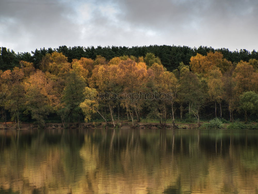 Similar – Image, Stock Photo autumn mood Nature