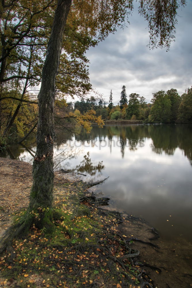 Similar – Image, Stock Photo mirrors Surface of water