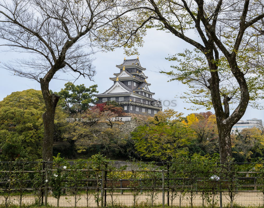 Similar – Image, Stock Photo Radio tower and television tower on a photo in autumn
