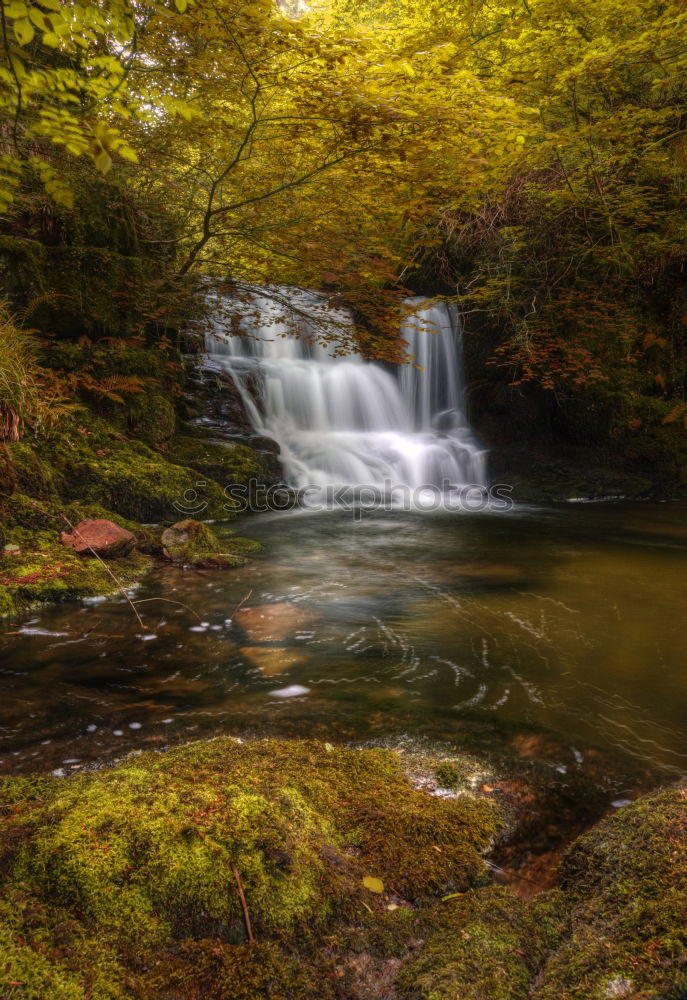 The Water Falling at the Yoro Waterfall in Gifu, Japan