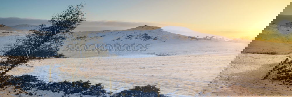 Similar – Image, Stock Photo Evening sun in the winter landscape