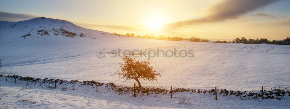 Similar – Pastellsonnenuntergang