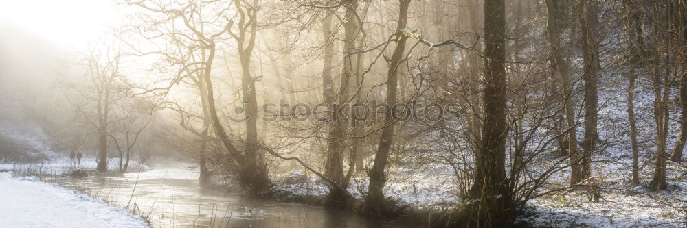 Similar – Schneereste Umwelt Natur