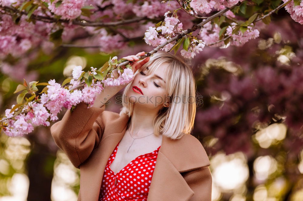 Image, Stock Photo Pretty brunette girl Style