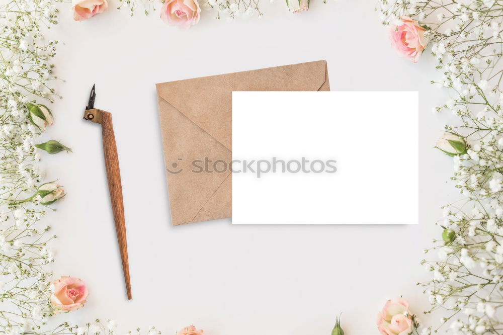 Similar – Flowers and envelope on a light pink background